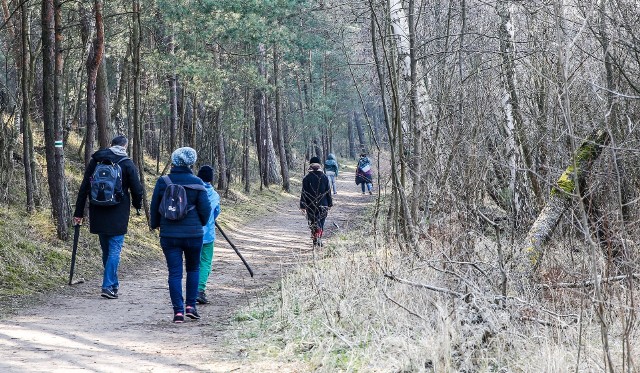 Ładna pogoda na początku wiosny będzie zachęcać coraz większą liczbę niedzielnych spacerowiczów do wybrania się do lasu. Żeby jednak przyjemność nie zakończyła się kłopotami - także zdrowotnymi - warto pamiętać o kilku zasadach.