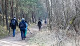 Wiosenne kroki w bydgoskim lesie - uważajmy na kleszcze, dzikie zwierzęta i... własne psy