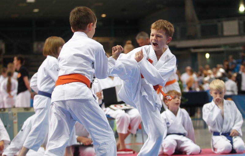 XV Puchar Dzieci w Karate Tradycyjnym w Rzeszowie.