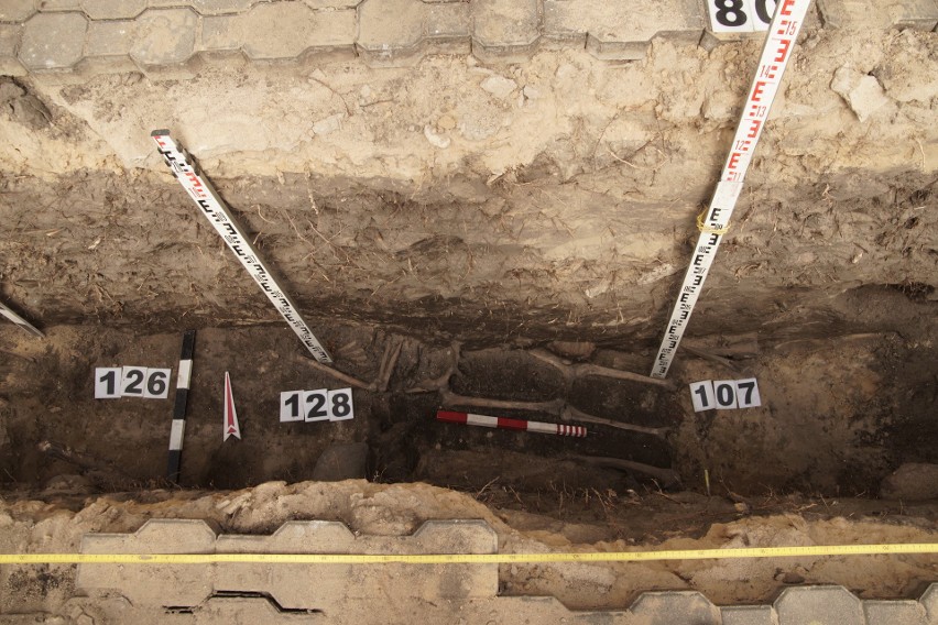 Bielsk Podlaski. Przy budowie gazociągu pracownicy znaleźli ludzkie szczątki. Archeolodzy zbadali teren (ZDJĘCIA)