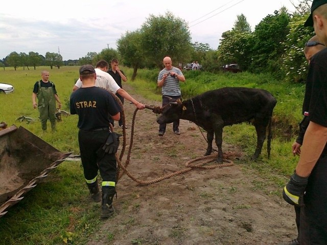 Cała akcja trwała około 1,5 godziny. Zakończyła się sukcesem. 