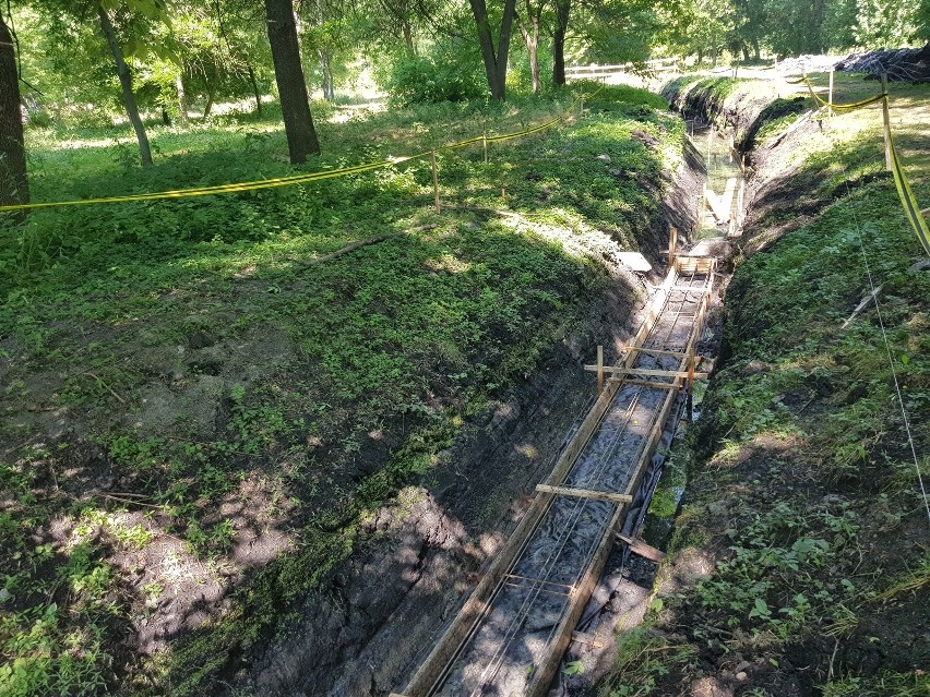 Park Ludowy w Lublinie zmienia szatę, a jelonek czuje się tu jak w domu. Zobacz zdjęcia!