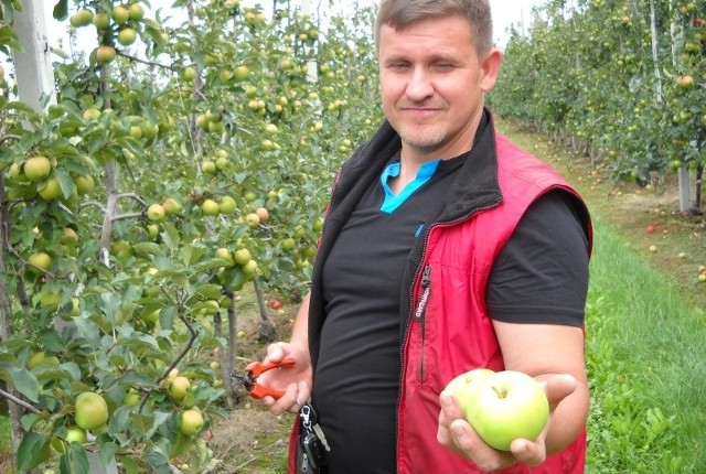 Za długo żyliśmy w komunie i ciągle brakuje nam cytrusów - mówi Maciej Działa, sadownik.