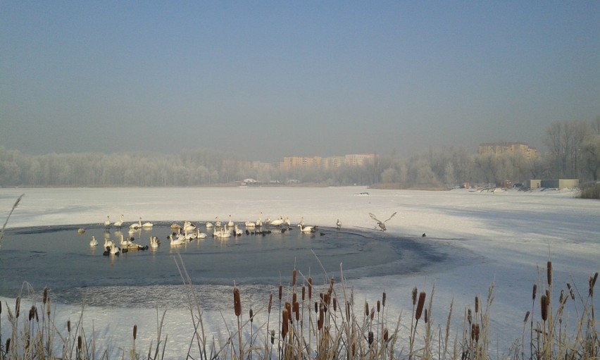 Sosnowiec: na Stawikach na razie zima, a niedługo zmiany [ZDJĘCIA]