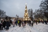 W Koszalinie zrobiło się świątecznie. Piękne iluminacje oświetliły plac Zwycięstwa [ZDJĘCIA]