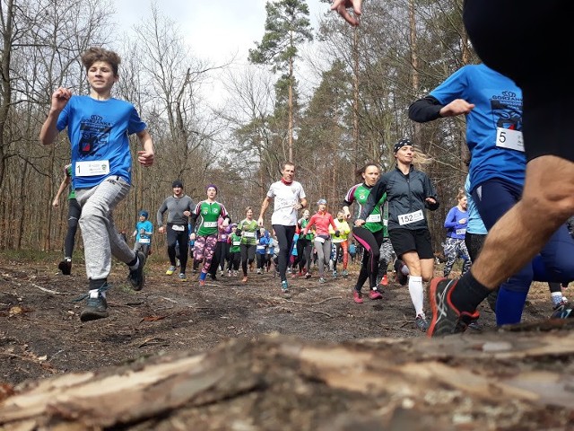 Bieg górski Nawojowa Góra 2019