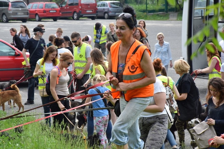 Psiechadzka to akcja częstochowskiego schroniska