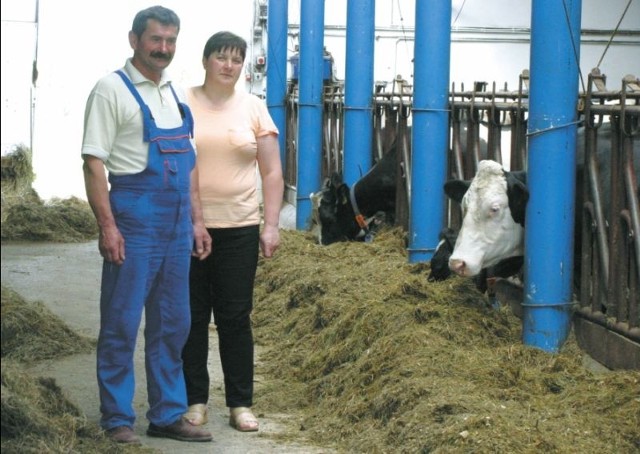 Produkcję mleka zwiększyli również Jolanta i Jan Monachowie z Kobylanki. Im jednak udało się wydzierżawić dodatkową kwotę i nie muszą się martwić tym, że trzeba będzie zapłacić karę za nadprodukcję.