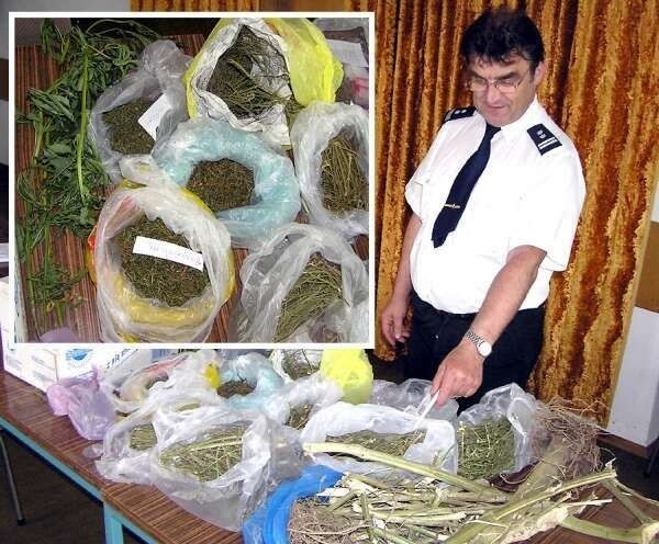 Komendant tarnobrzeskiej policji młodszy inspektor Zbigniew Matys prezentuje zarekwirowane narkotyki.