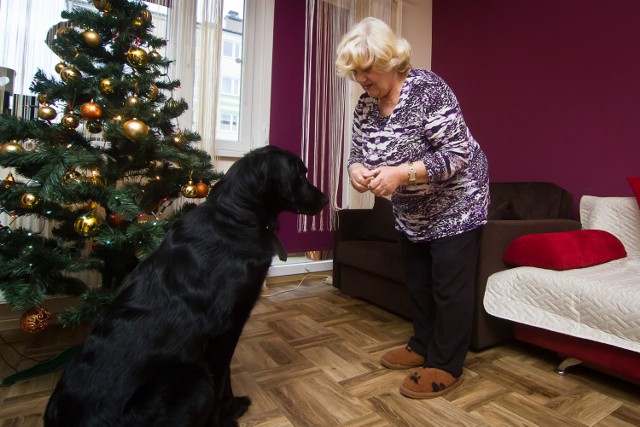 Hatchi trafił do Aleksandry Strachoty dokładnie dwa lata i dziewięć miesięcy temu jako szczeniak. Był prezentem od dzieci, które chciały, aby mama miała więcej ruchu.