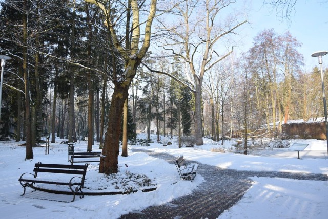 Zielona Góra. Luty 2019 r. Zima w ogrodzie botanicznym i minizoo. Tutaj jest naprawdę pięknie!