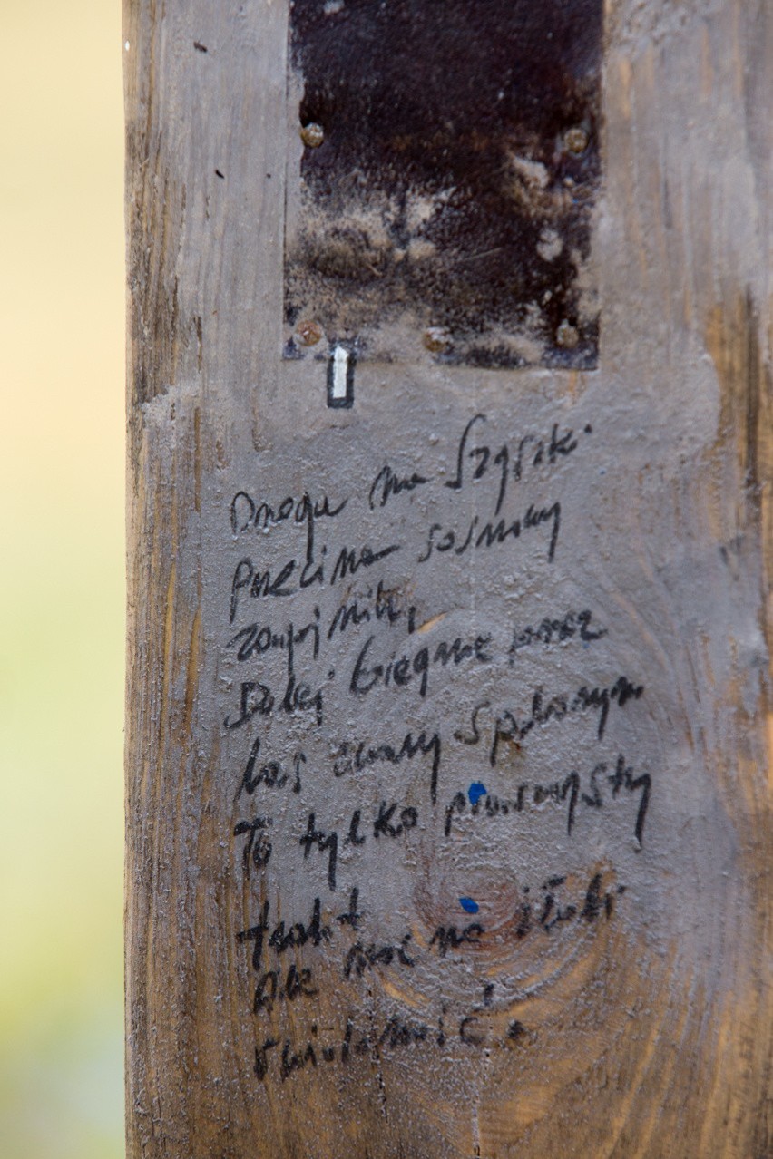 "Wiersze przydrożne" Waldemara Rudyka. Efektowna, strzelista...