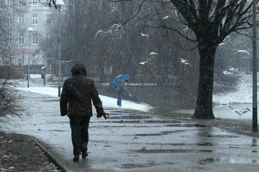 2. W okresie zimowym przed wyjściem z domu koniecznie...