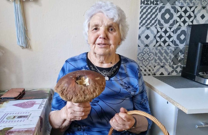 Grzybobranie 2023. Zobaczcie zbiory 91-letniej mieszkanki gminy Krasnosielc. Co za okazy!