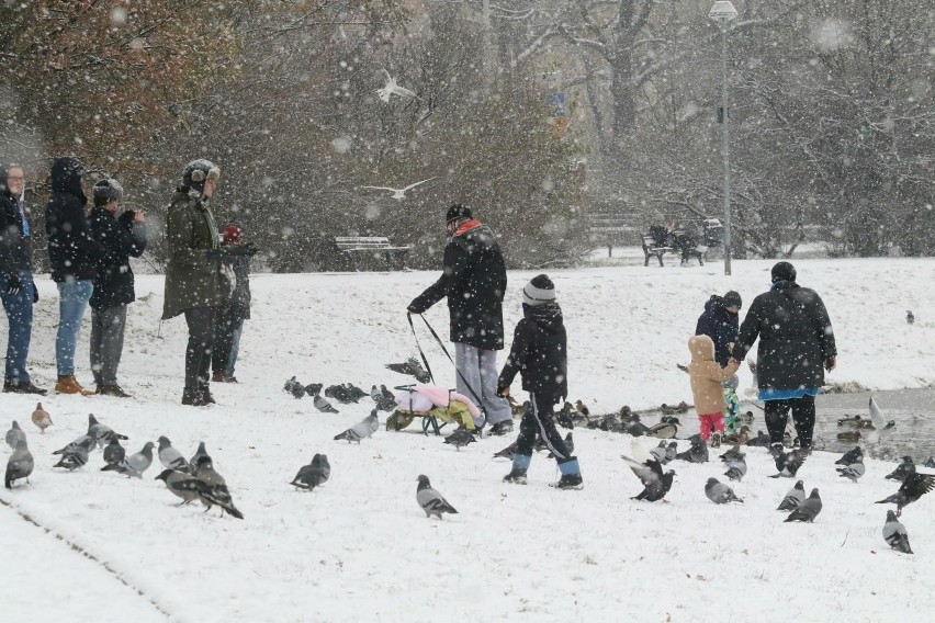 Zdaniem większości synoptyków następny tydzień może być we...