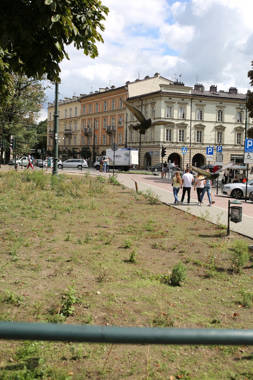 Łąka papieska nie przypomina dziś tej, którą od maja mogli...