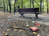 Park miejski w Olkuszu na celowniku wandali. Popisane ławki, porozrzucane śmieci i zniszczona altana [ZDJĘCIA]