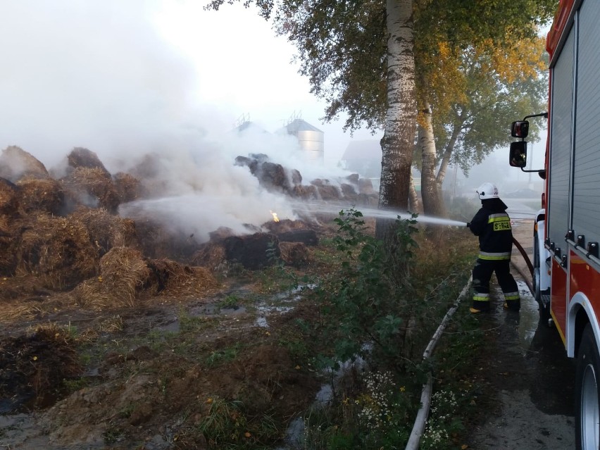 Ogromny pożar w Dąbrowicy. Paliło się trzy tysiące bali słomy [ZDJĘCIA]