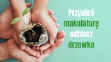 Przynieś niepotrzebny papier i odbierz sadzonkę. Wraca akcja “Drzewko za makulaturę”! 