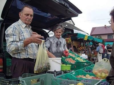 O tak dorodnych owocach sadownicy z "Grodziska" muszą w tym roku chyba zapomnieć. Fot. Maciej Hołuj