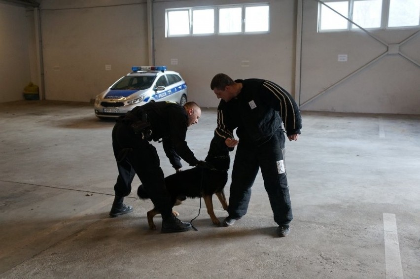 W raciborskiej policji szkolą psy