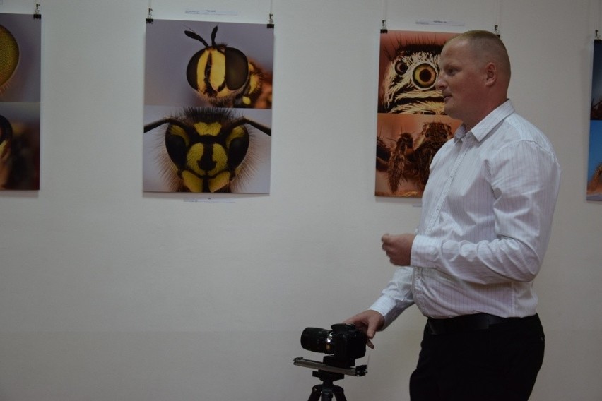Zwykłe owady na niezwykłych zdjęciach Pawła Błachowicza. Tę wystawę trzeba zobaczyć! (ZDJĘCIA)