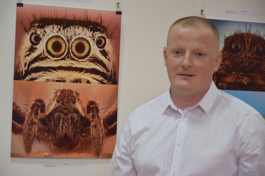 Zwykłe owady na niezwykłych zdjęciach Pawła Błachowicza. Tę wystawę trzeba zobaczyć! (ZDJĘCIA)