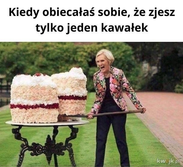 Obchodzony 26 listopada Dzień Ciasta to święto, które w Polsce staje się coraz bardziej popularne. Ciasto doczekało się przesłodkich memów z sobą samym w roli głównej. Zobaczcie najlepsze.>>>ZOBACZ WIĘCEJ NA KOLEJNYCH SLAJDACH