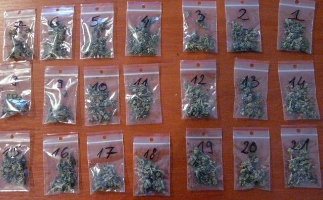 Koszalin. W mieszkaniu 26-latka policjanci znaleźli 14 gramów marihuany.