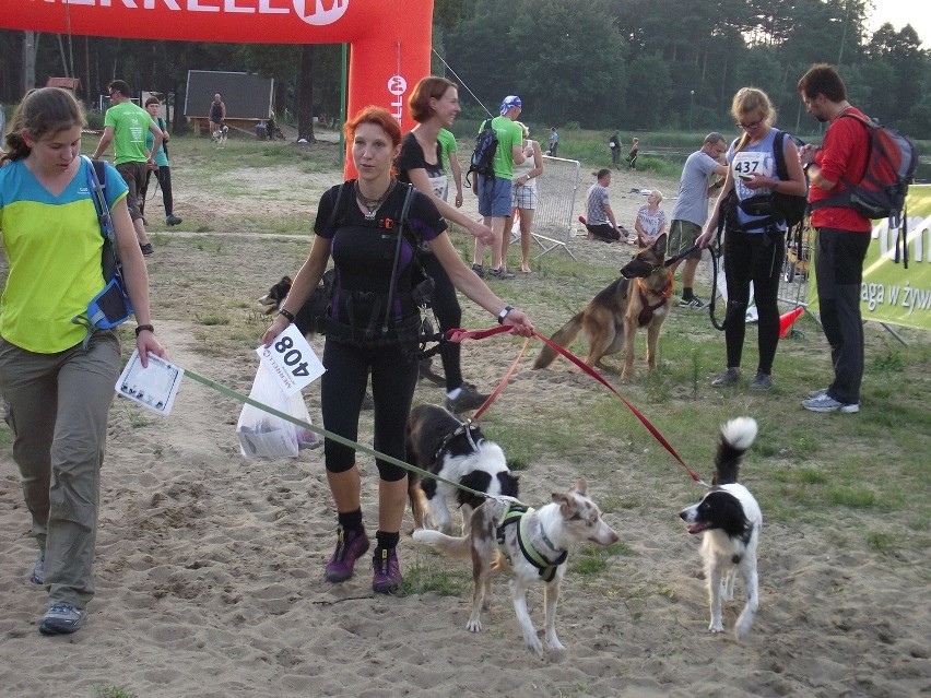 Nocny Puchar Polski w Dogtrekkingu odbył się w Kaletach