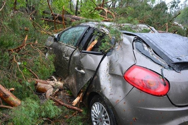 Tragedia w Suszku. Bilans nawałnicy, która przeszła nad obozowiskiem w Suszku to 2 ofiary śmiertelne i ponad 20 osób rannych. Nie żyją dwie nastoletnie harcerki z Łodzi...