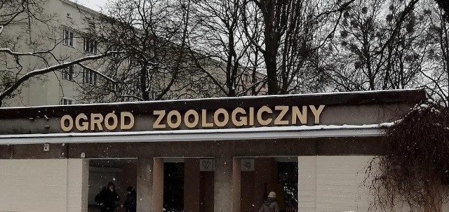 Od początku roku trzeba znów płacić za wejście do Starego zoo na Jeżycach. Bilet normalny kosztuje złotówkę, a ulgowy 50 groszy.