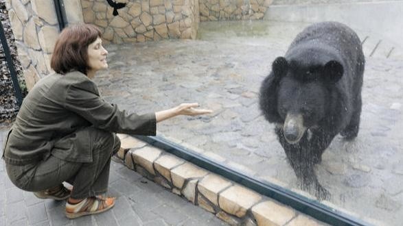 Hanna Ciemiecka z ciekawością obserwuje znajomość obu niedźwiedzi. Na zdjęciu z samicą Voltą