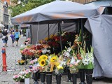 Kwiaty w Toruniu. Jakie i gdzie możemy kupić?