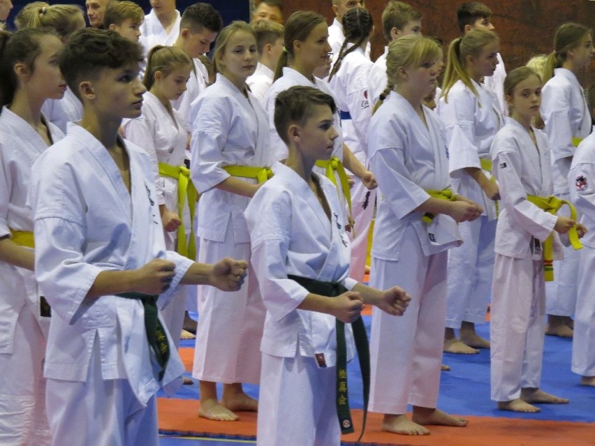 I miejsce drużyny Kieleckiego Klubu Sportowego Karate na krajowym turnieju w Sosnowcu! [ZDJĘCIA, WIDEO]