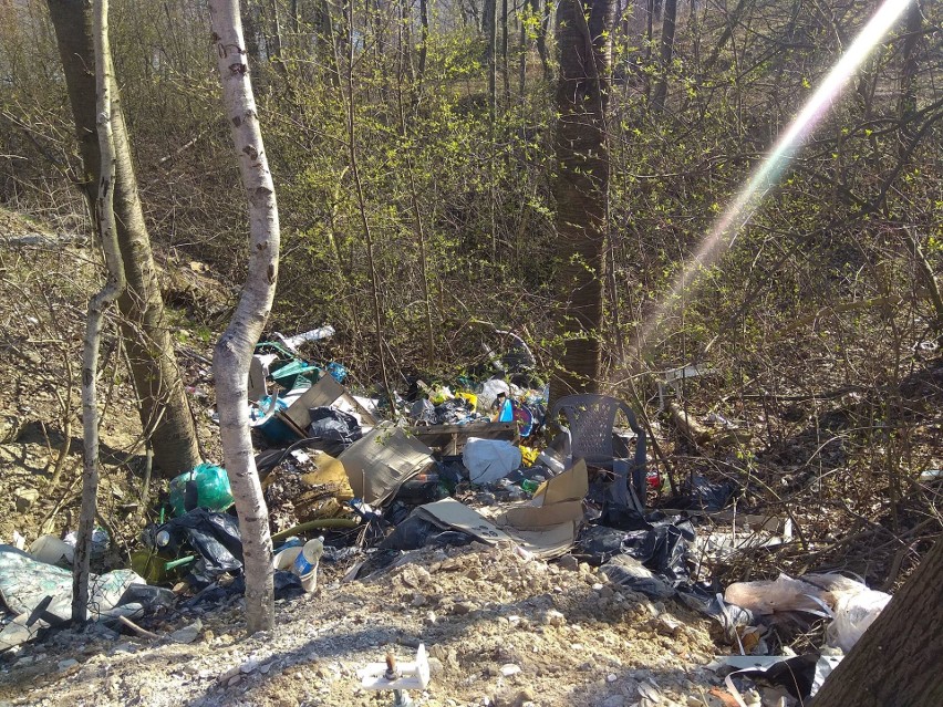 Dzikie wysypisko na brzegu Jeziora Żywieckiego. Straż Miejska zawiadamia prokuraturę