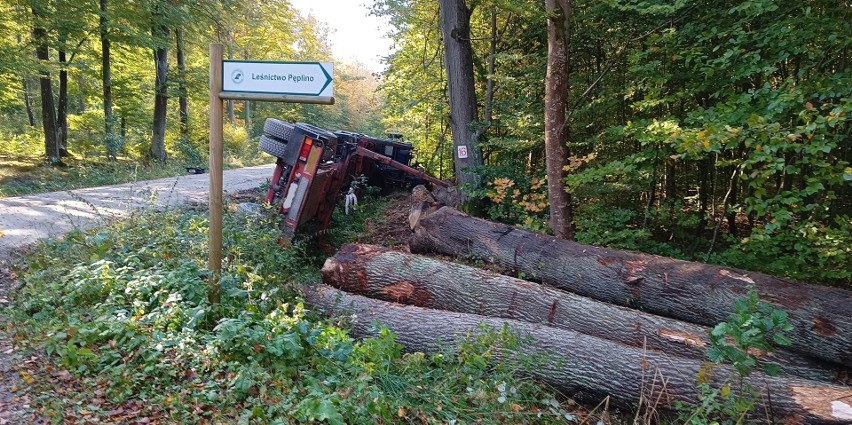 Przewrócona ciężarówka z drzewem. Kierowca złapał pobocze