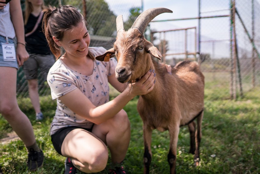 10. urodziny łódzkiej Vivy! Fundacja organizuje imprezę w szczytnym celu. Wstęp bezpłatny