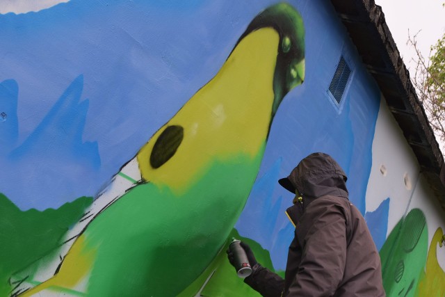 Grafficiarze upiększają ściany garaży przy ul. Chopina