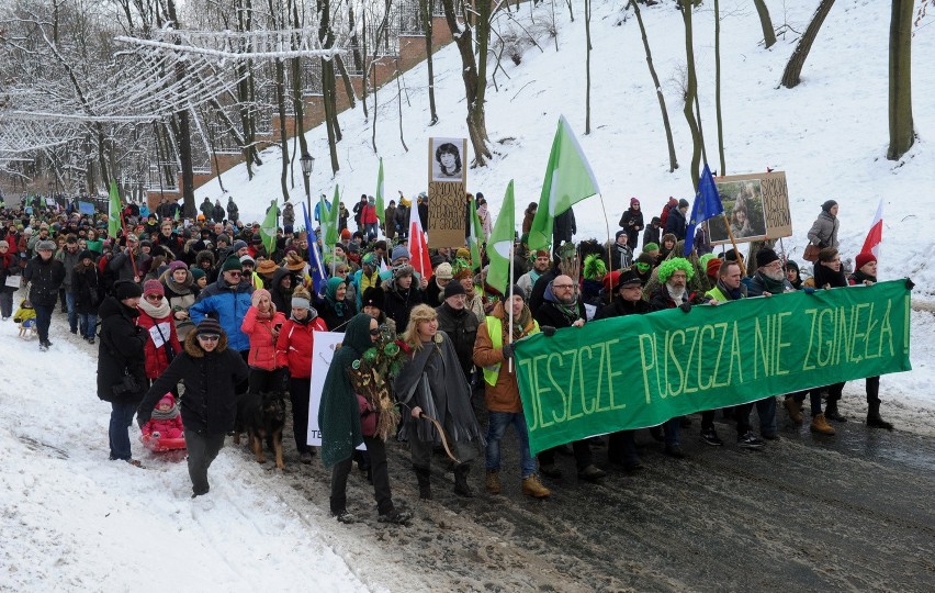 Protest w obronie Puszczy Białowieskiej w Warszawie