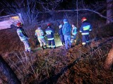 Zanieczyszczenie wody w Prądniku płynącym w kierunku Ojcowskiego Parku Narodowego. Zaalarmowane zostały służby