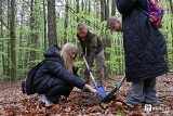 Młodzież sadziła drzewa w lesie komunalnym w Kielcach. Zobacz zdjęcia 