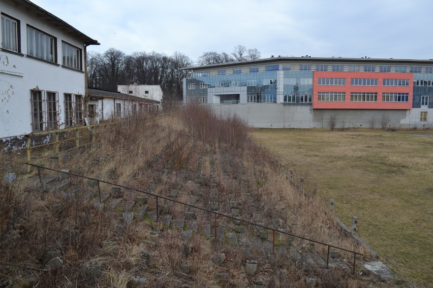 Skra Częstochowa wygrała proces ze Skarbem Państwa. Dostanie kilkanaście milionów złotych?