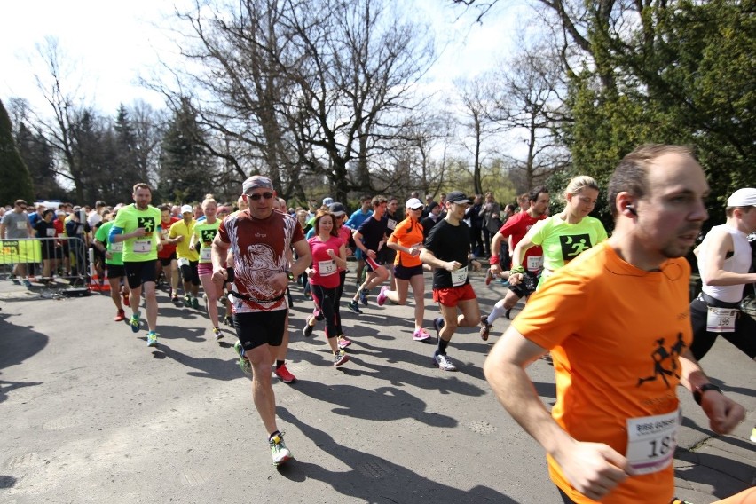 Park Śląski: W Biegu Górskim wystartowało ok. 400 biegaczy [ZOBACZ ZDJĘCIA]