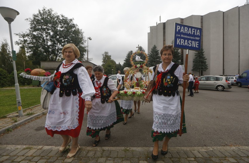 W Parku Papieskim, przy rzeszowskiej Katedrze, odbyły się...