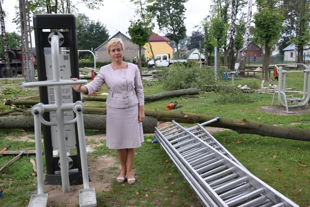 - Wycinkę drzew  prowadzimy przede wszystkim dla bezpieczeństwa naszych uczniów – mówi dyrektor Szkoły Podstawowej w Dziebałtowie Beata Zbróg