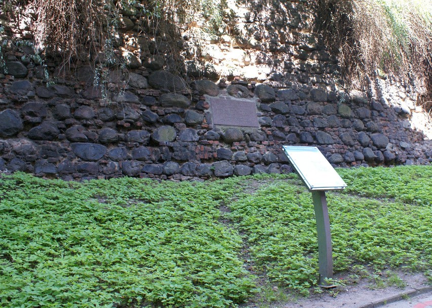 Najstarszy mur miejski umiera. Zajmie się nim ZBiLK