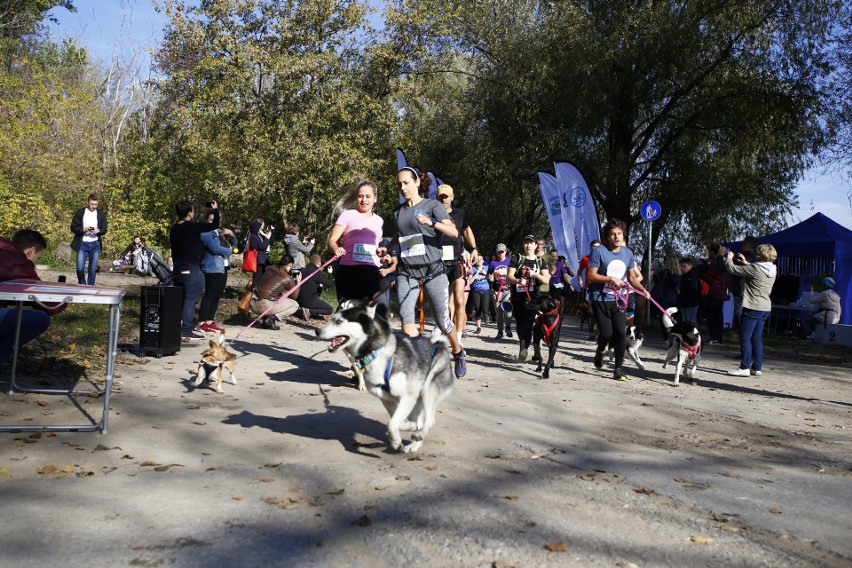 Warszawa Run Hau 2019. Świetna akcja warszawiaków. Pobiegli razem z bezdomnymi psami [ZDJĘCIA]