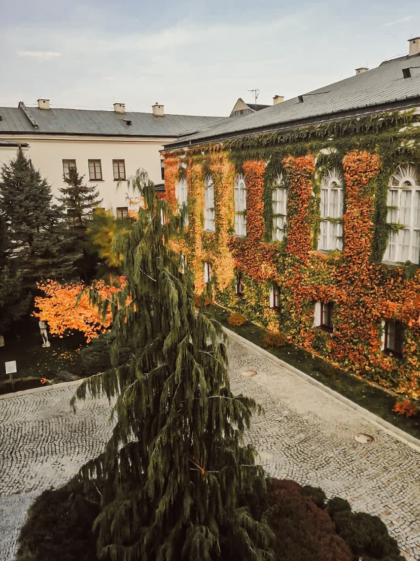 Muzeum zyska blisko 500 tysięcy złotych. Dzięki tym...