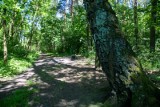 Kraków w końcu kupił las Borowski! 16 mln zł za 15 ha zielonego terenu na południu miasta. Umowa podpisana